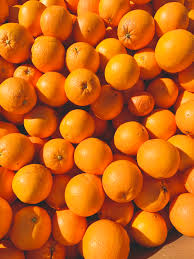 تصدير البرتقال من مصر