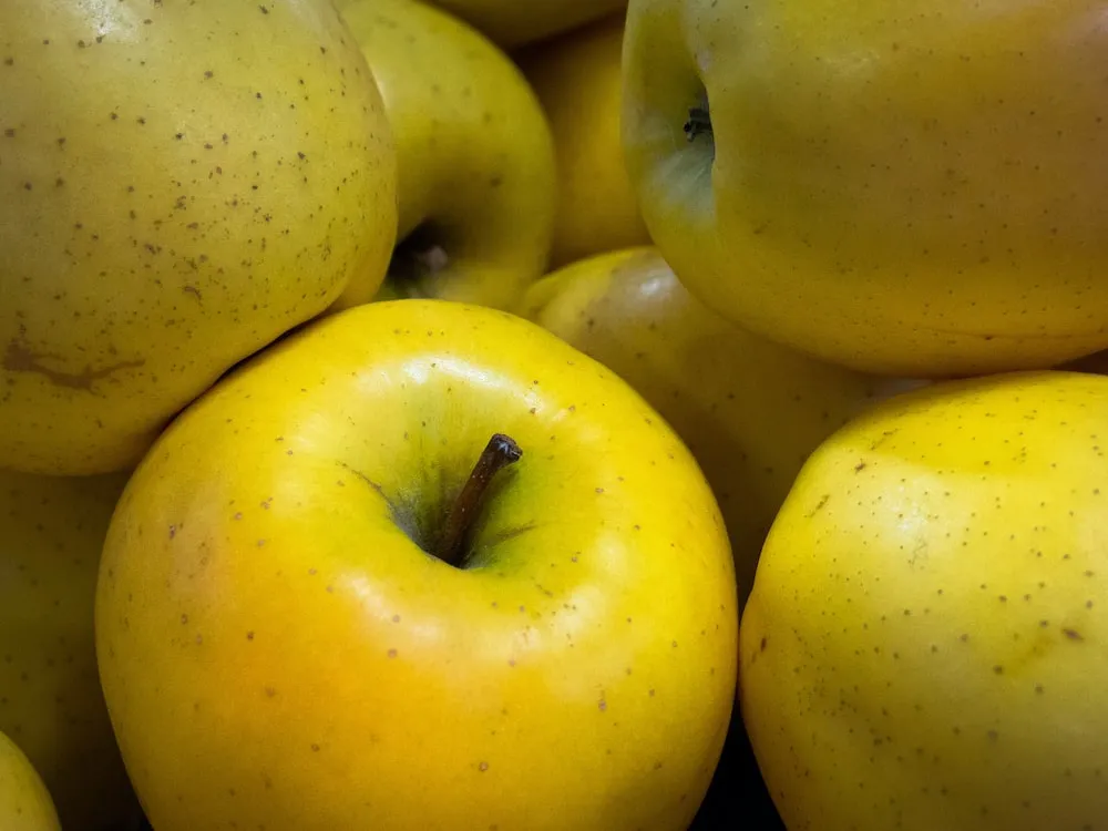 شراء أنواع عالية الجودة من التفاح الاصفر بسعر رخيص 