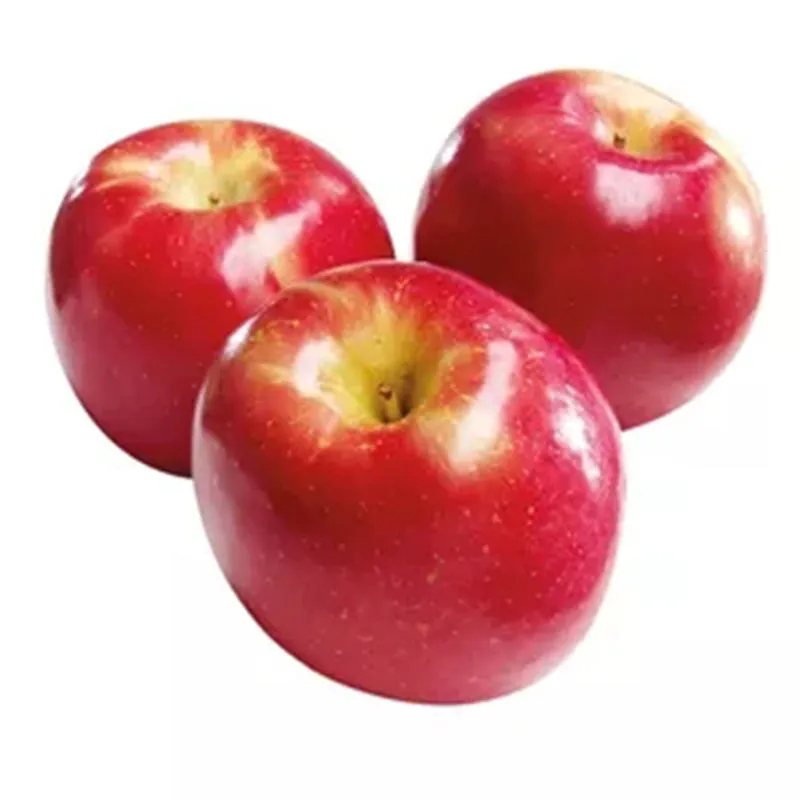التفاح من الفواکه اللذیذه