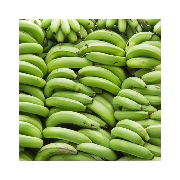 سعر كيلو الموز في مصر اليوم