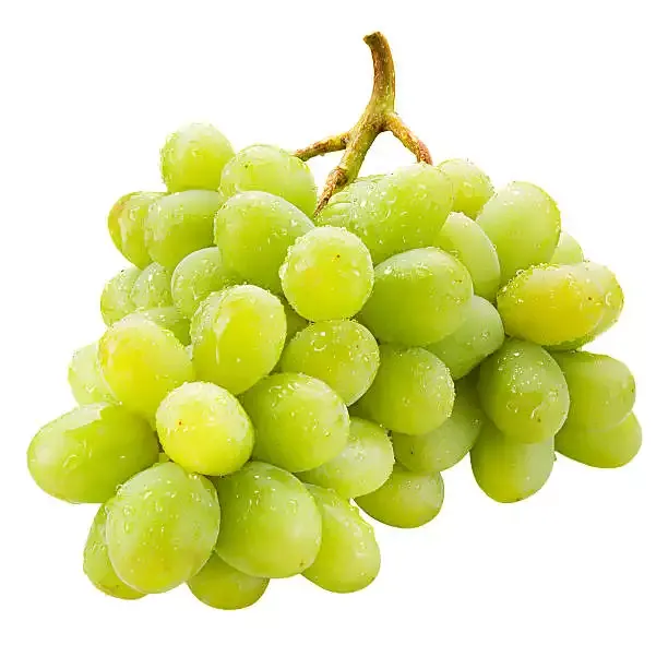 افضل سعر لشراء جميع انواع العنب في السودان  2022