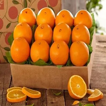 شراء احدث انواع طن البرتقال في مصر 2023  