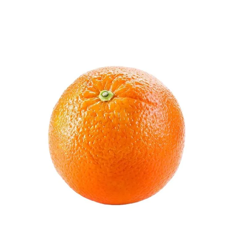 شراء احدث انواع طن البرتقال في مصر 2023  