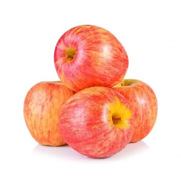 احسن سعر شراء التفاح في ايران 