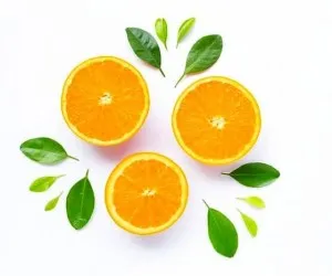 إنتاج البرتقال الذهبي الیاباني