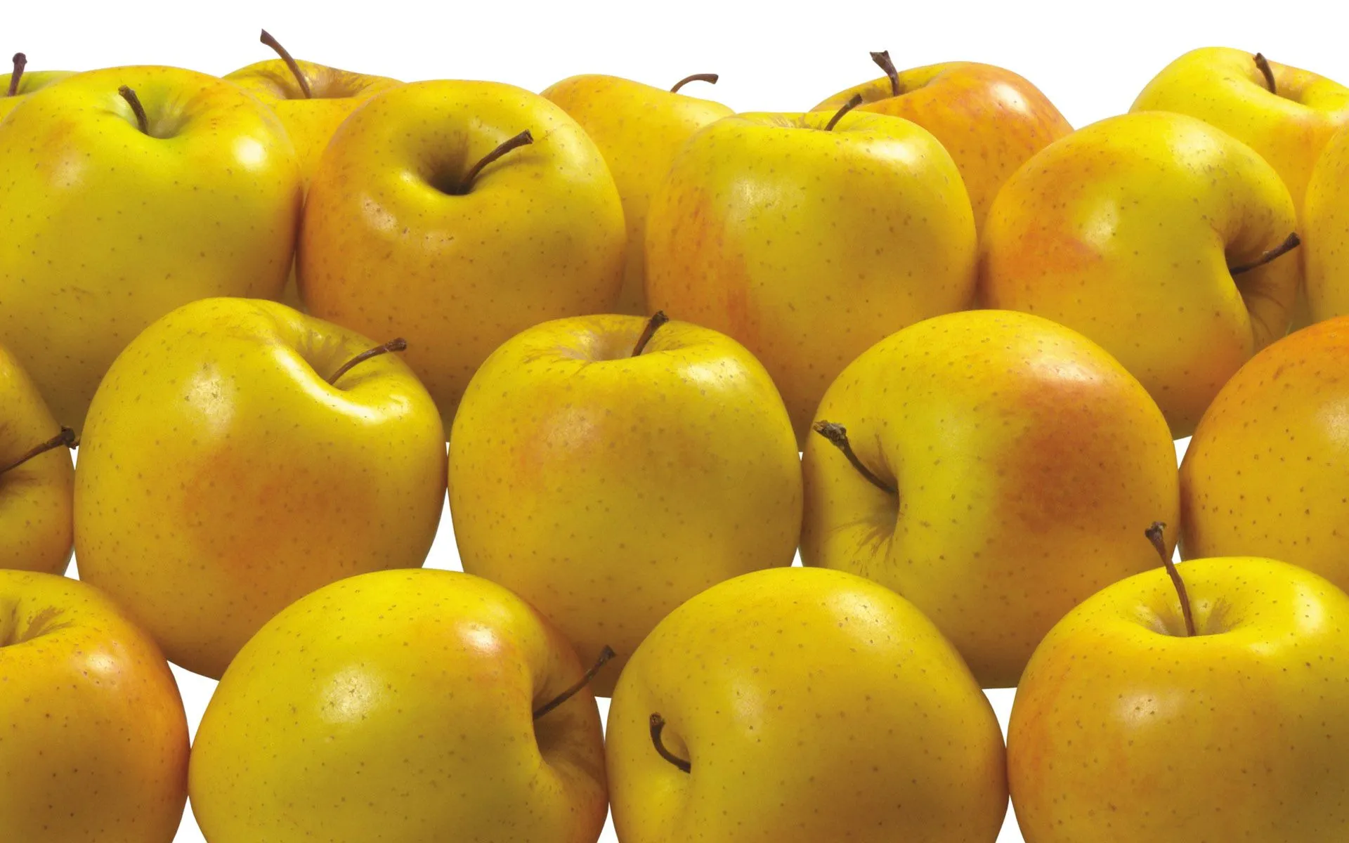 هل التفاح الأصفر يزيد الوزن