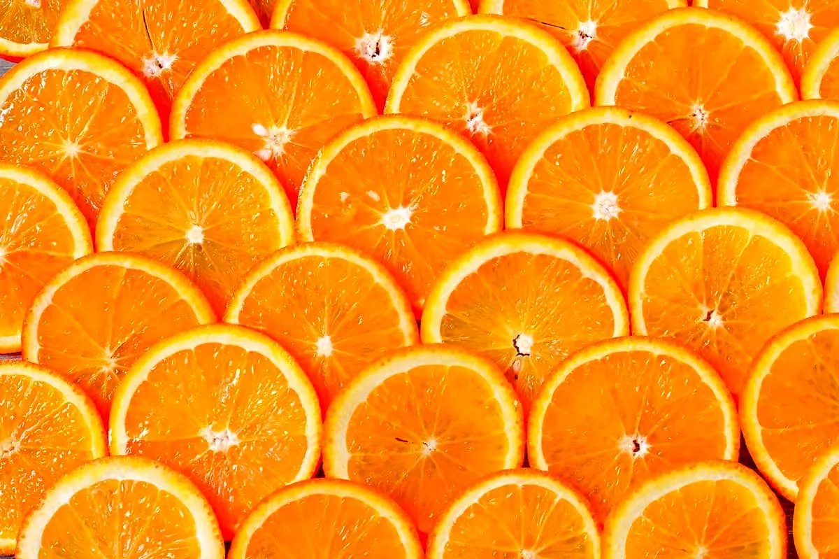 سعر شراء البرتقال في الهند + التدریب 