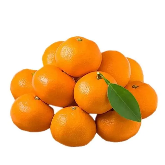 سعر كرتون البرتقال في السعودية