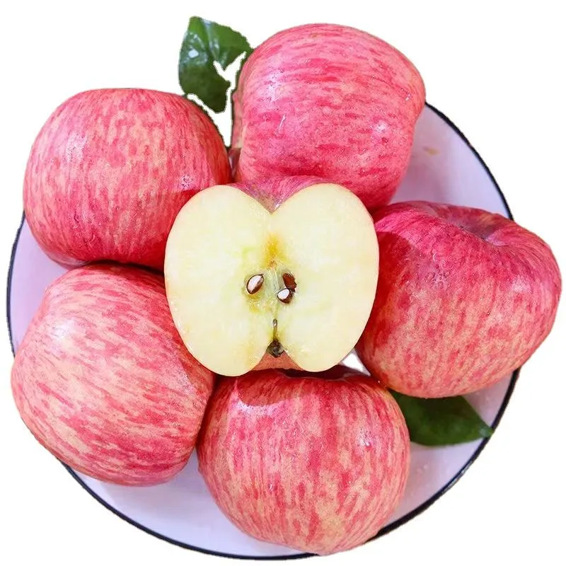 التفاح الطبيعي في مصر شراء بسعر رخیص