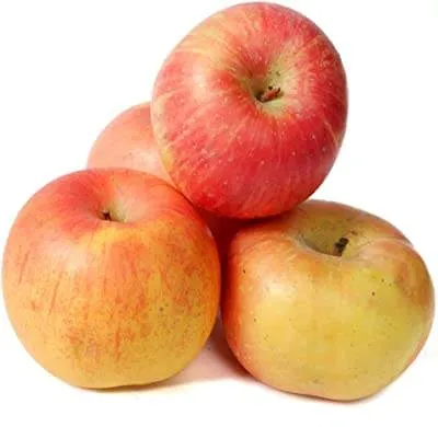 التفاح الطبيعي في مصر شراء بسعر رخیص