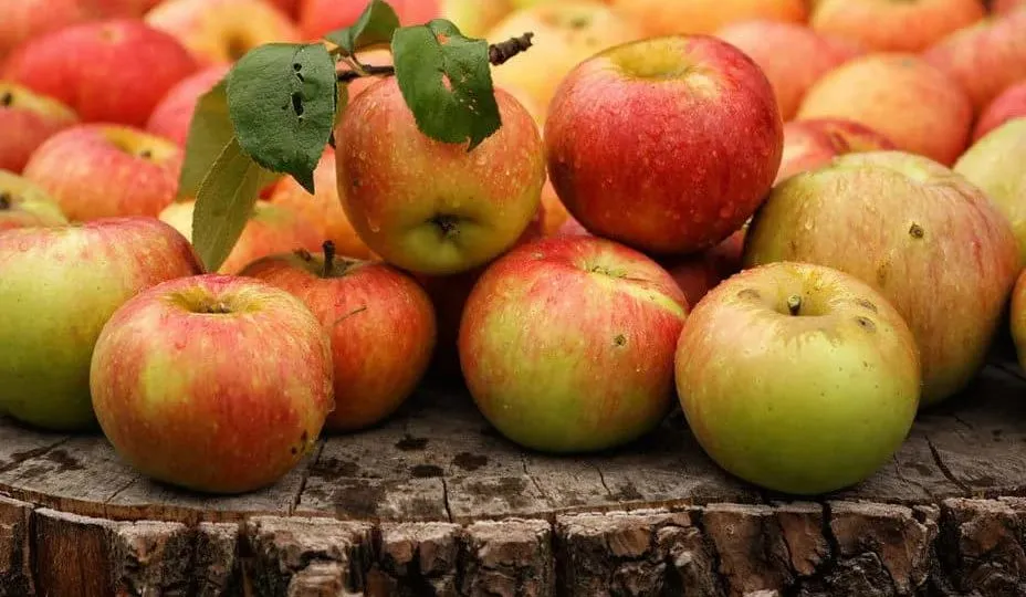 سعر التفاح فی دمشق