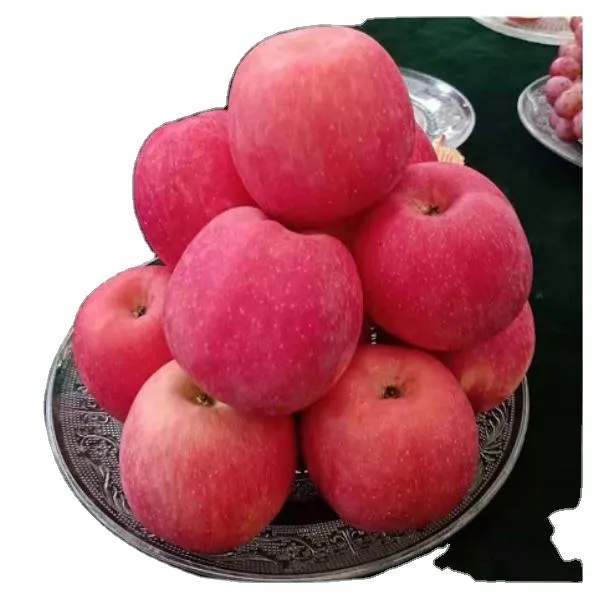 سعر التفاح الاخضر في السعودية