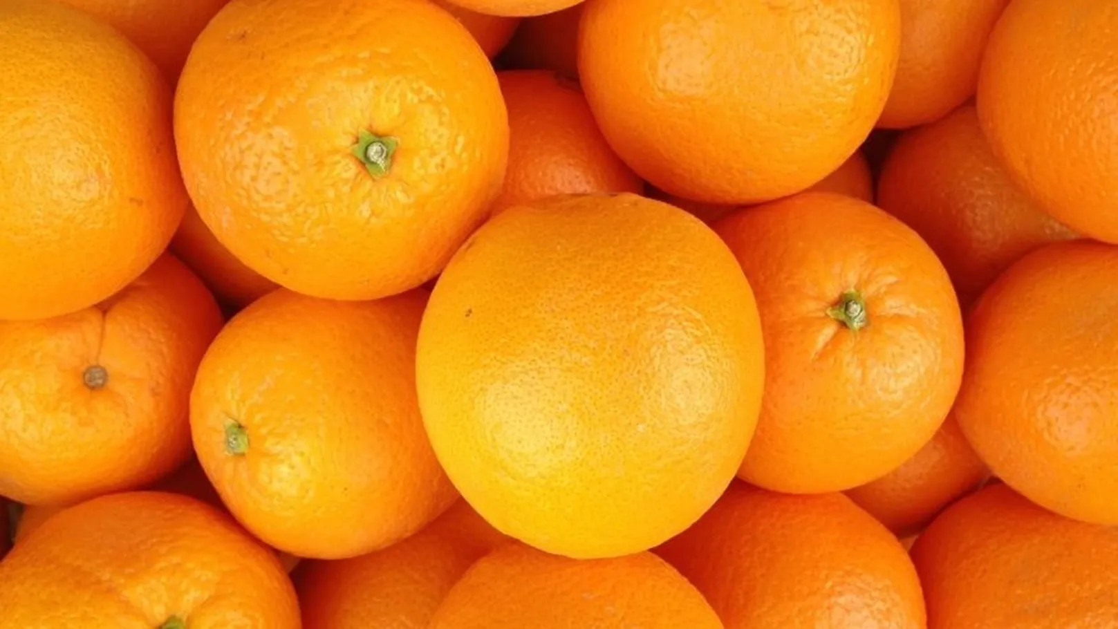 سعر البرتقال في الكويت