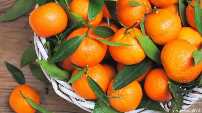 سعر طن البرتقال في مصر 2022