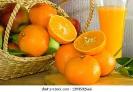 سعر البرتقال في السعودية اليوم