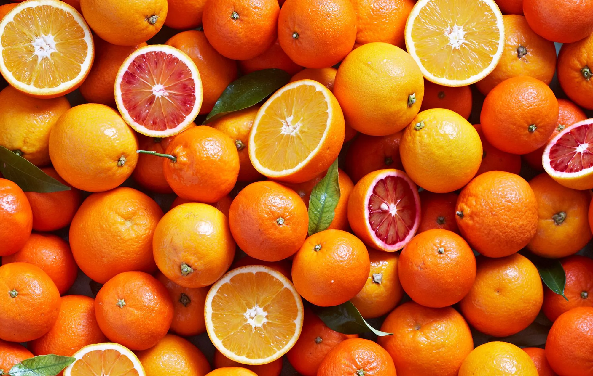 سعر البرتقال اليوم في الجزائر