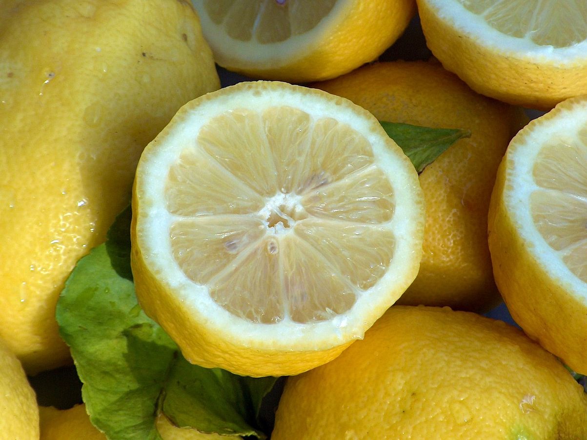 أنواع الليمون بالصور