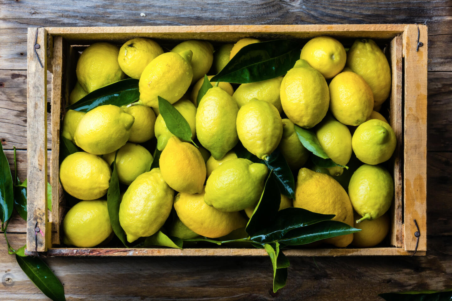 فوائد الليمون البنزهير