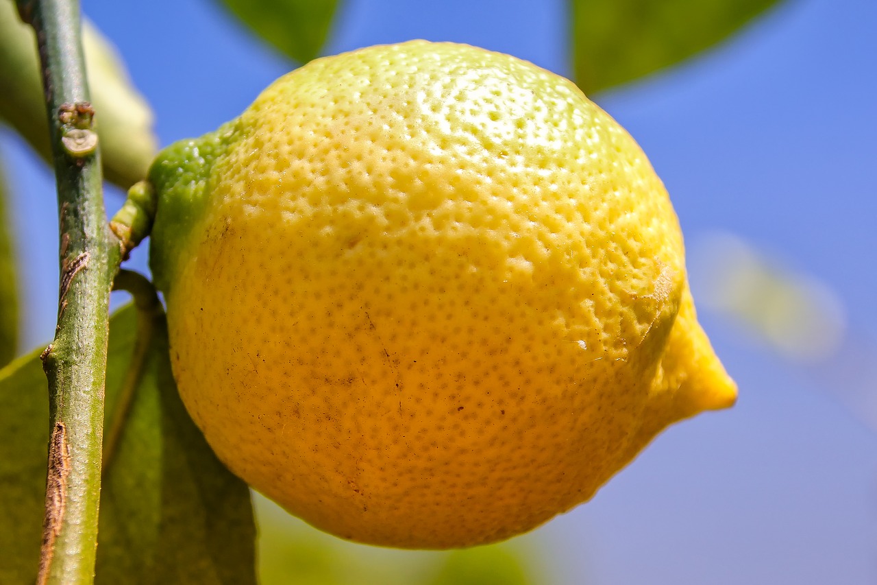 فوائد الليمون الأصفر