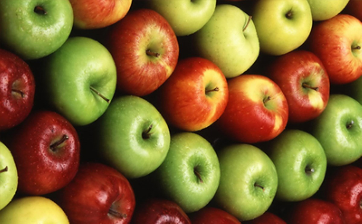شراء و سعر احدث انواع تفاح بنفسجي 