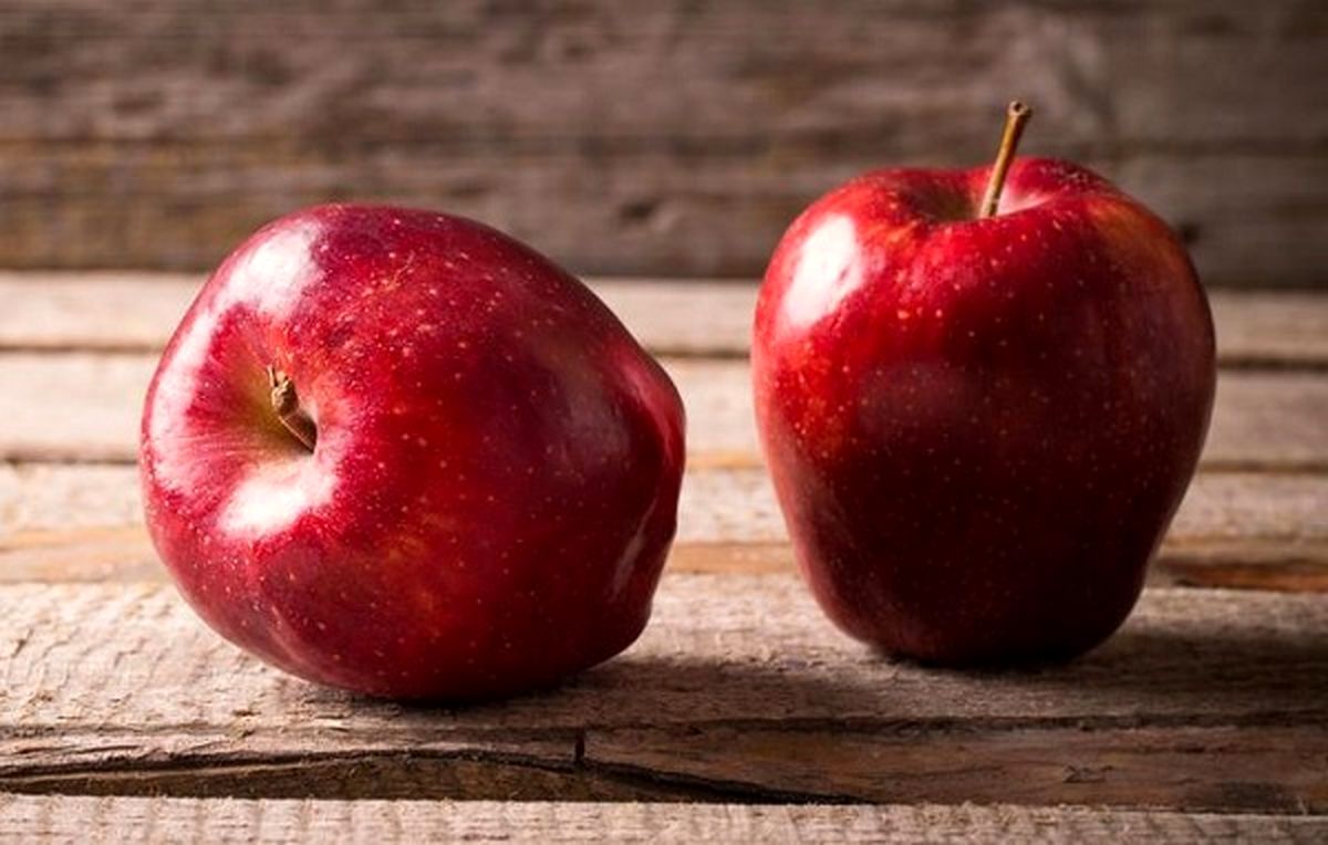 شراء و سعر احدث انواع تفاح بنفسجي 