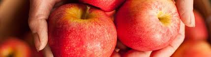 تفاح بني شراء أنواع عالية الجودة من انکر بسعر رخيص