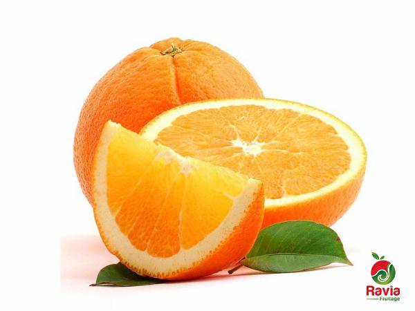أفضل طريقة لتطعيم أشجار البرتقال الاصلیه لتصدیرها