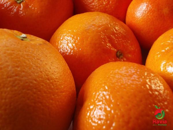 فوائد البرتقال الطبيعي للجسم و خواص الشراء في الحیاة الروتینة