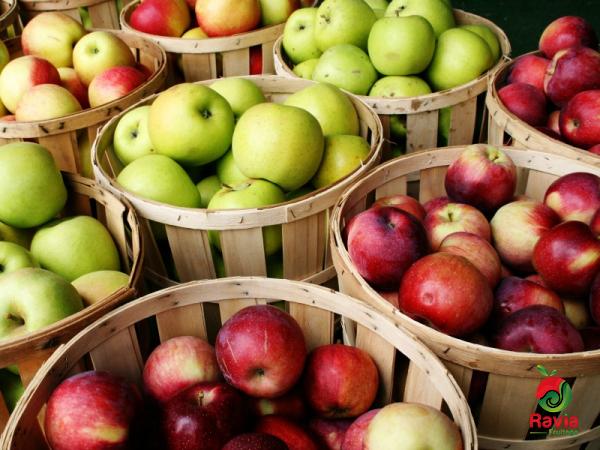 ما هی فوائد التفاح المجفف و السعرات الحراریه للتفاح المجفف