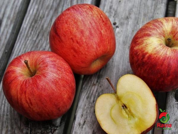 سعر التفاح الاحمر في ايران