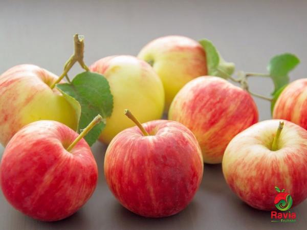انواع تفاحة حمراء من الدرجة الأولى
